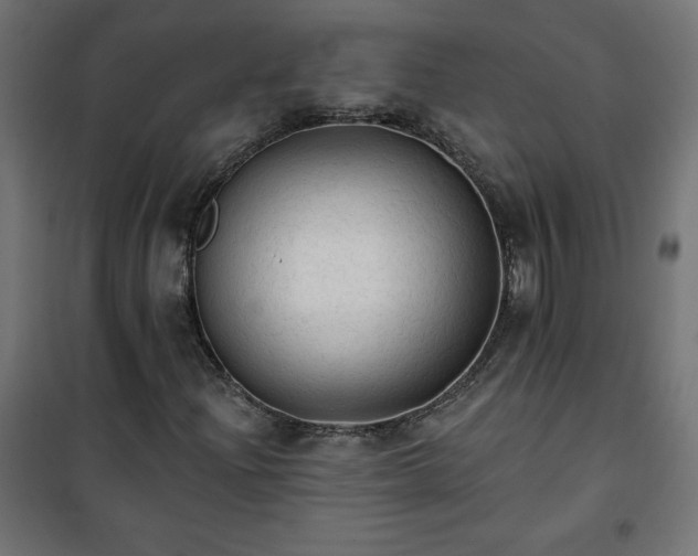 X0000101151204200807071141