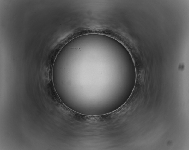 X0000101151205200807071141