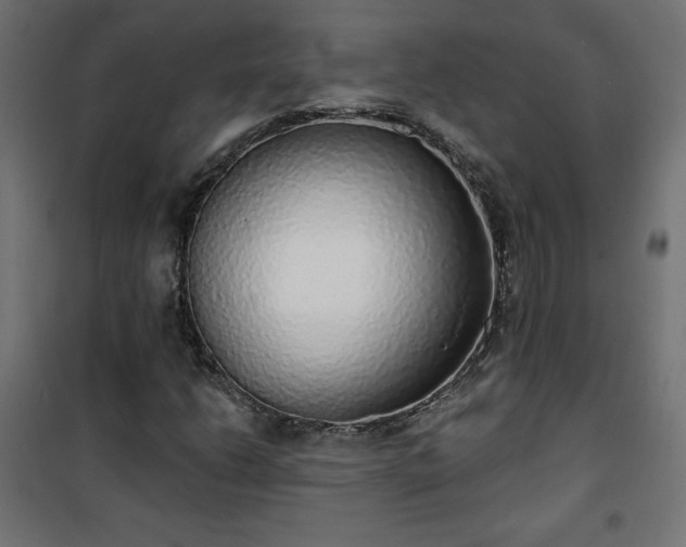 X0000101151206200807071141