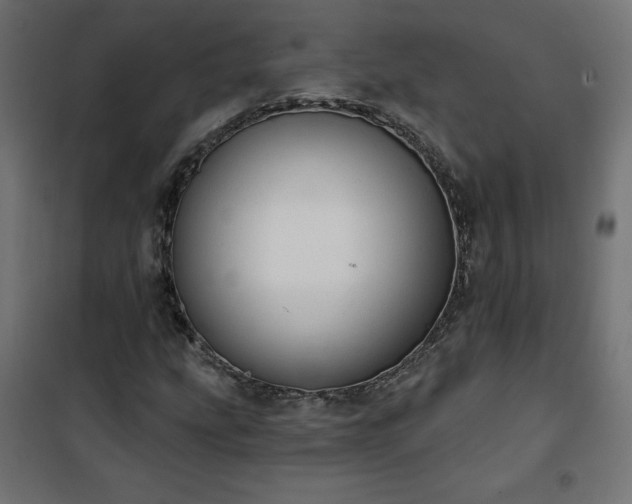 X0000101151207200807071141