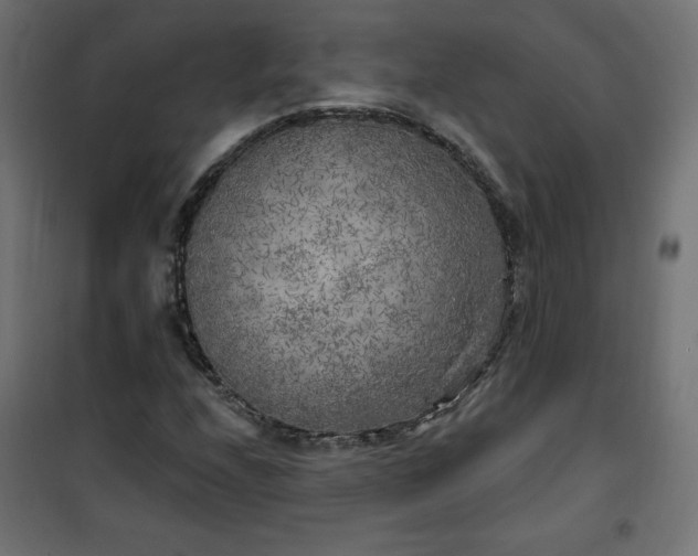 X0000101151208200807071141