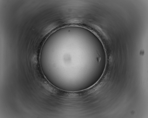 X0000101151209200807071141