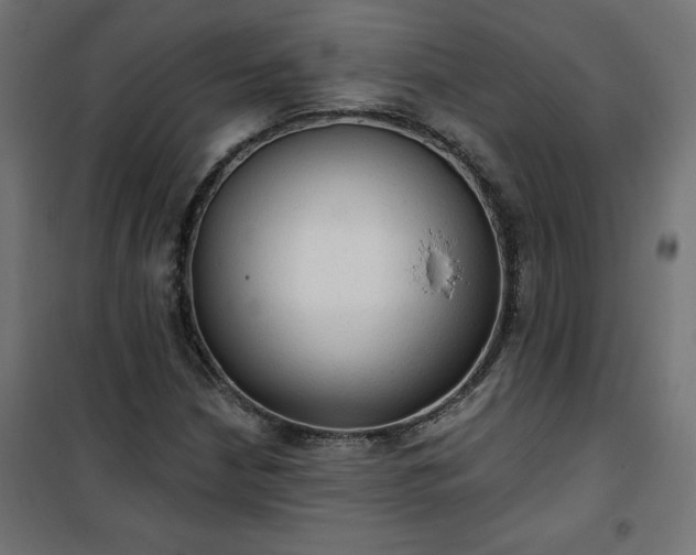 X0000101151210200807071141