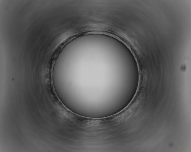 X0000101151211200807071141