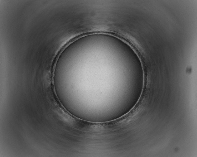 X0000101151212200807071141