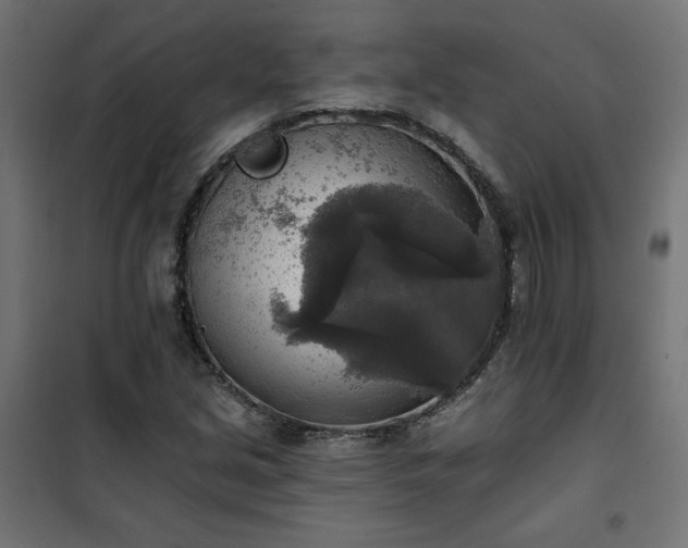 X0000101151213200807071141