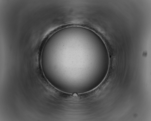 X0000101151214200807071141