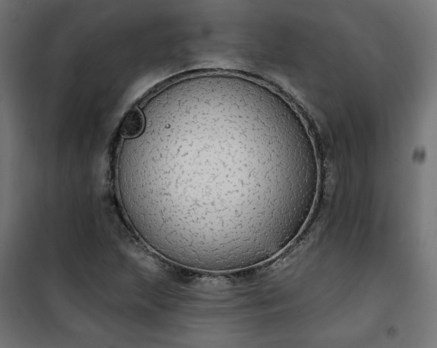 X0000101151215200807071141