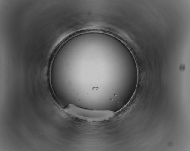 X0000101151216200807071141