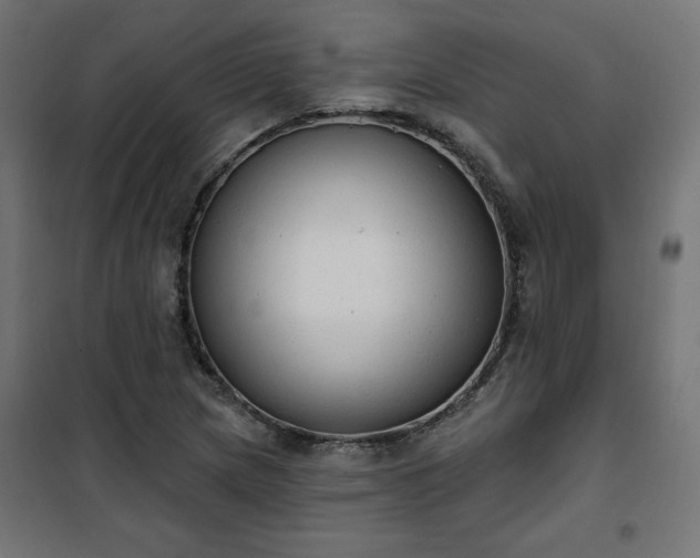 X0000101151217200807071141