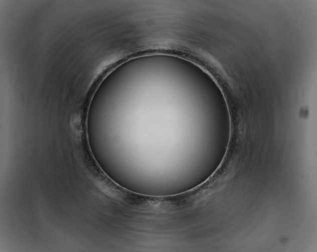 X0000101151218200807071141