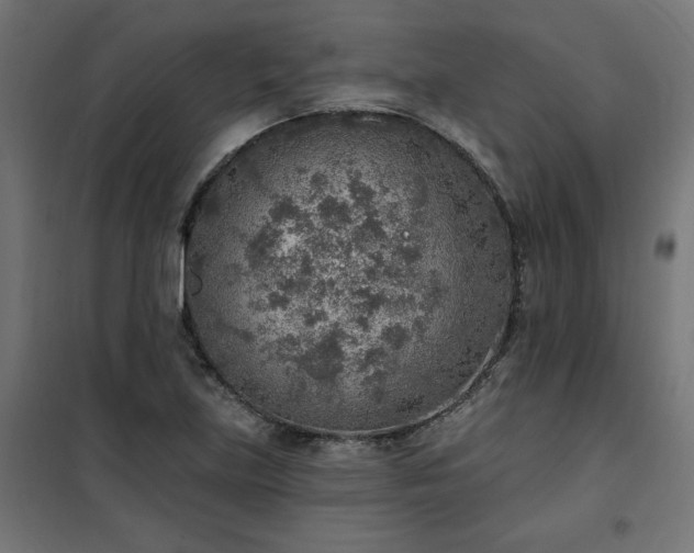 X0000101151219200807071141