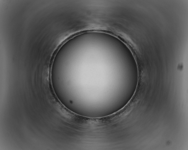 X0000101151220200807071141