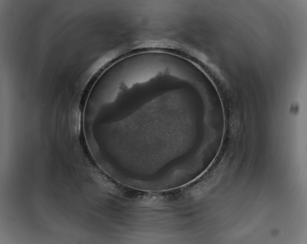 X0000101151221200807071141