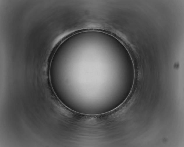 X0000101151222200807071141