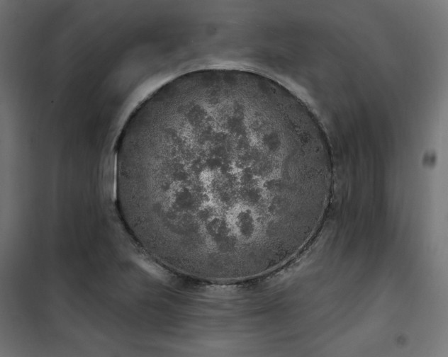 X0000101151223200807071141