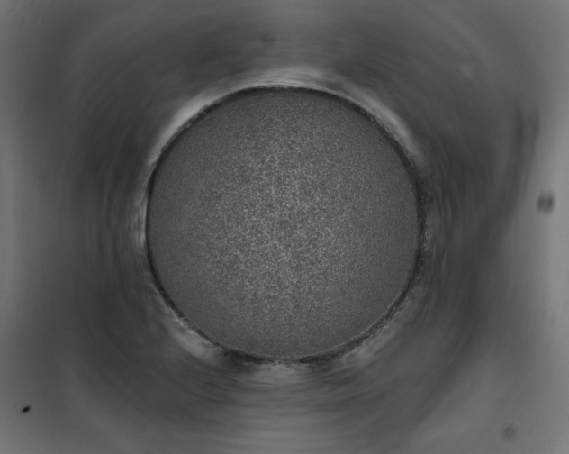 X0000101151224200807071141