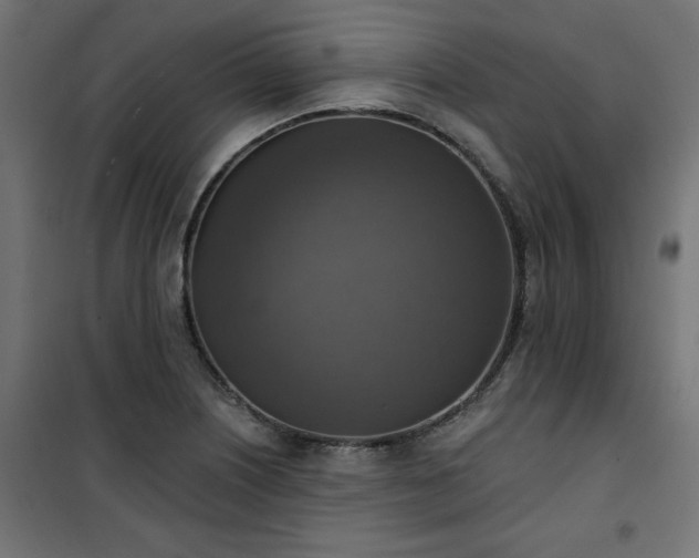 X0000101151226200807071141