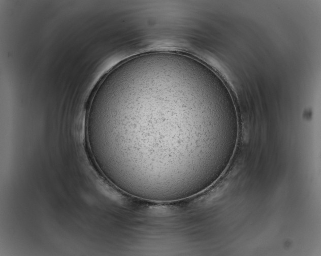 X0000101151227200807071141