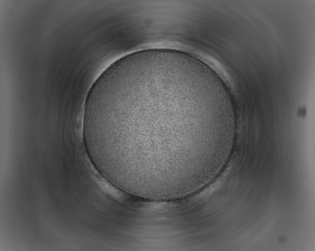 X0000101151228200807071141