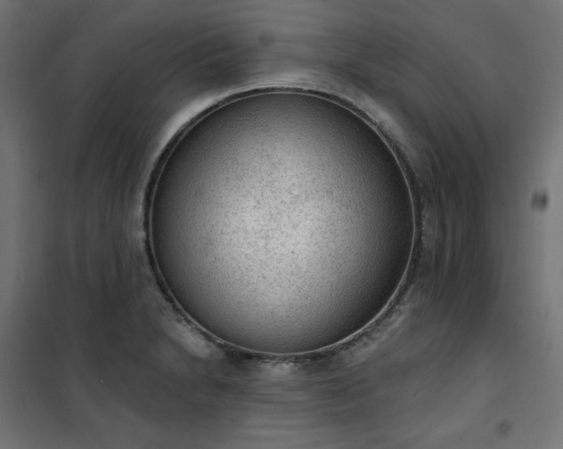 X0000101151230200807071141