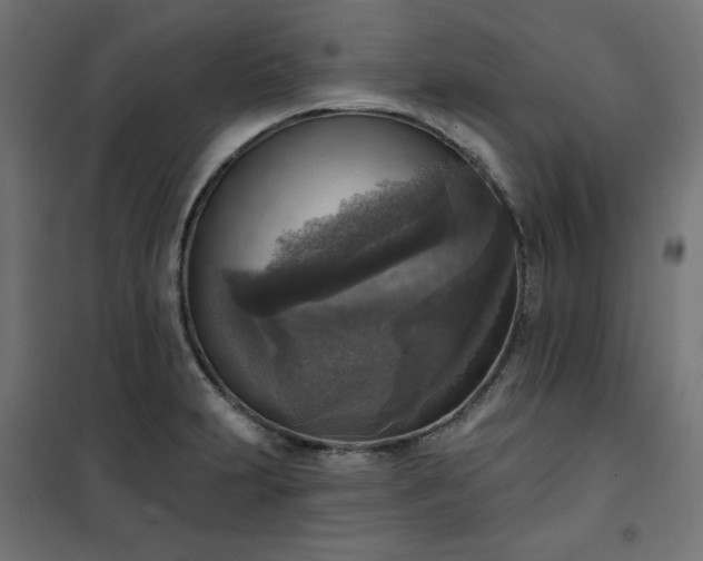 X0000101151231200807071141