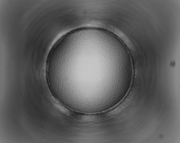 X0000101151232200807071141