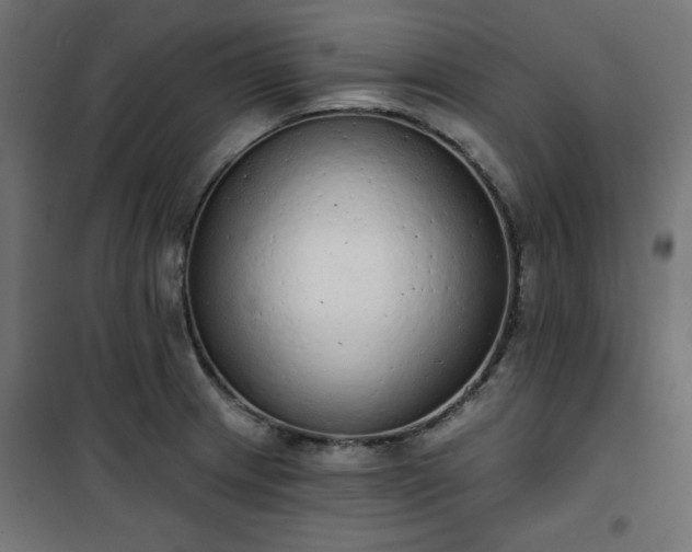 X0000101151233200807071141