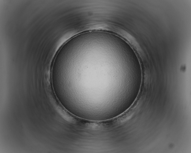 X0000101151234200807071141