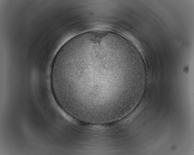 X0000101151235200807071141