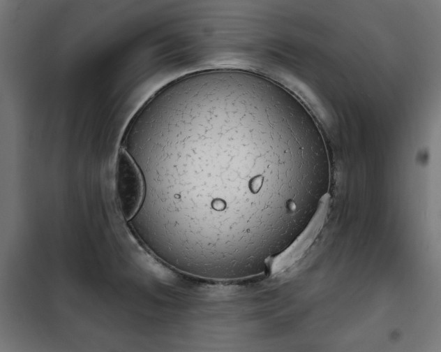 X0000101151236200807071141