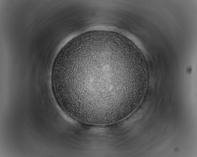 X0000101151237200807071141