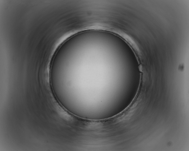 X0000101151238200807071141