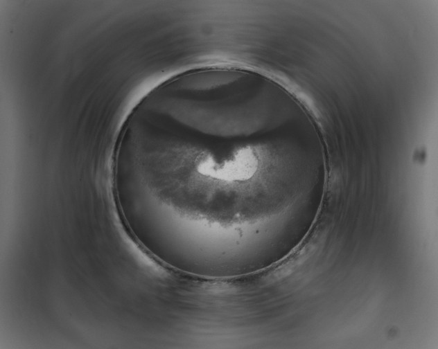 X0000101151239200807071141