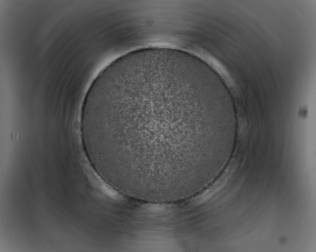 X0000101151240200807071141