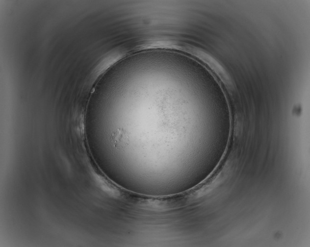 X0000101151241200807071141