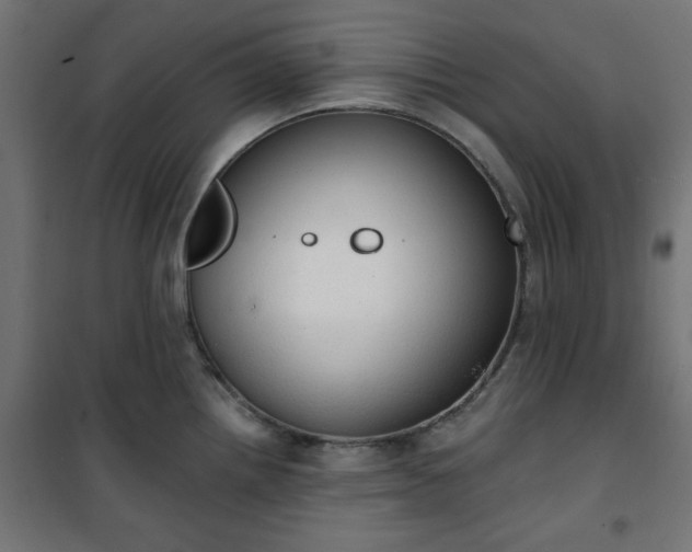 X0000101151242200807071141