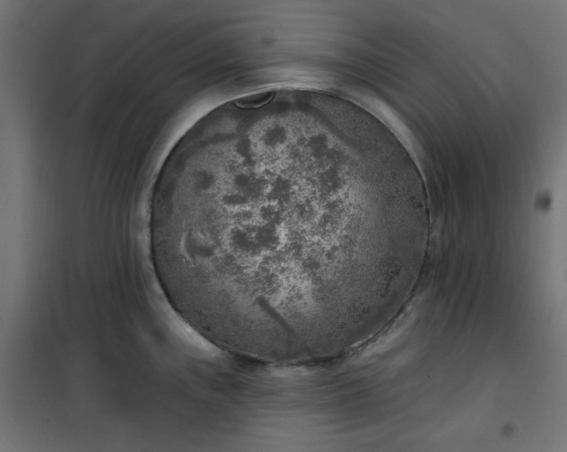 X0000101151243200807071141