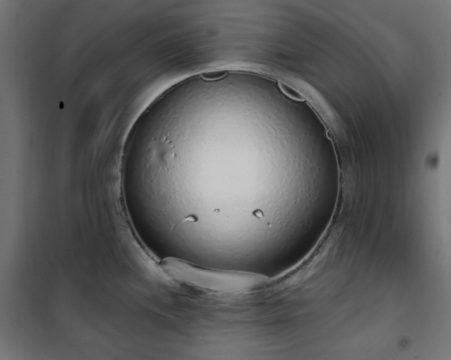 X0000101151244200807071141