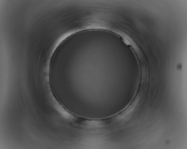 X0000101151246200807071141