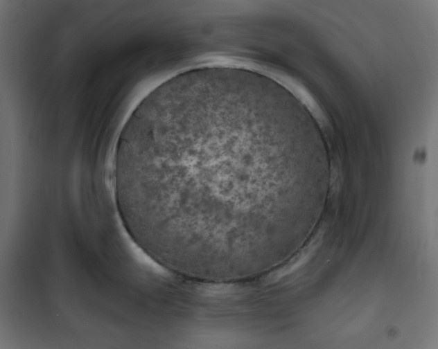 X0000101151247200807071142