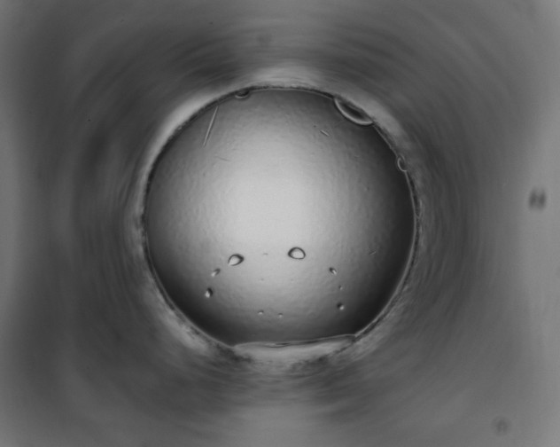 X0000101151248200807071142