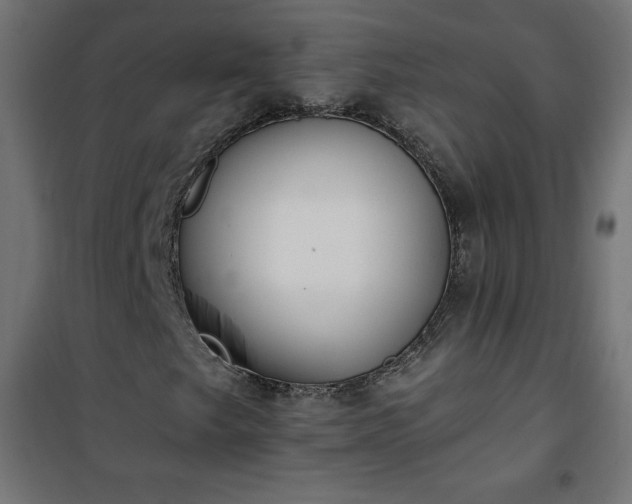 X0000101151249200807071141