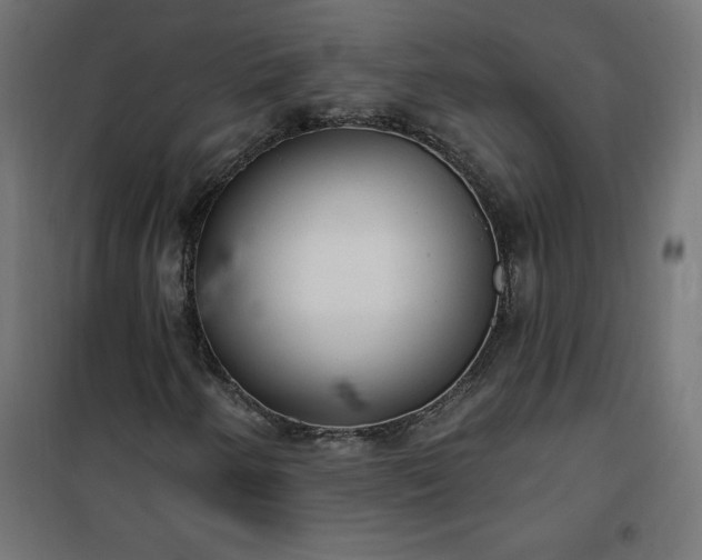 X0000101151250200807071141