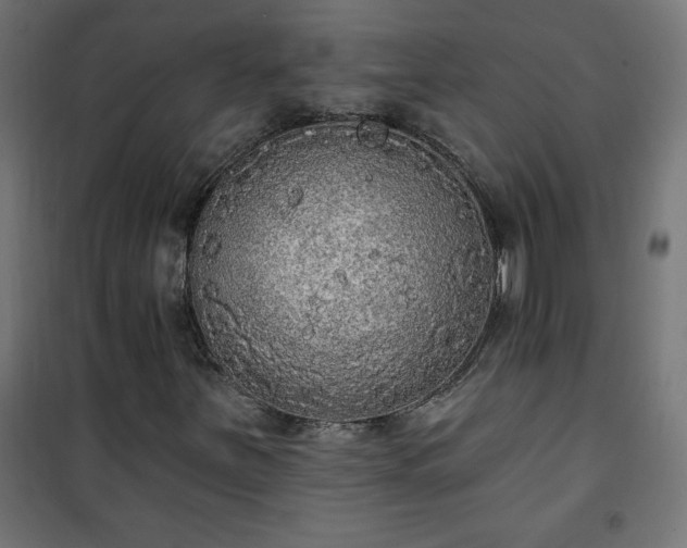 X0000101151251200807071141