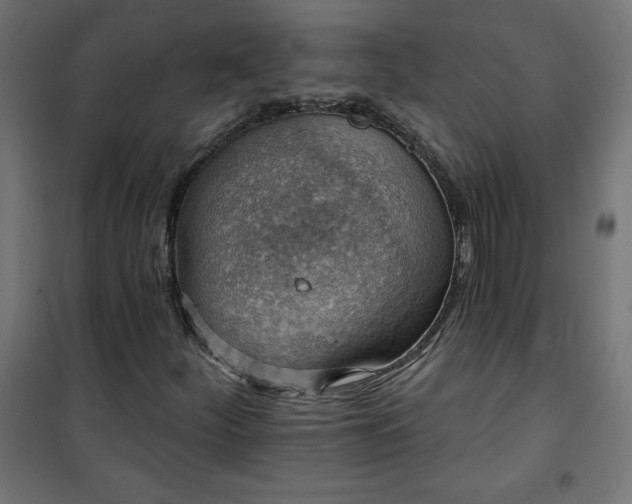 X0000101151252200807071141