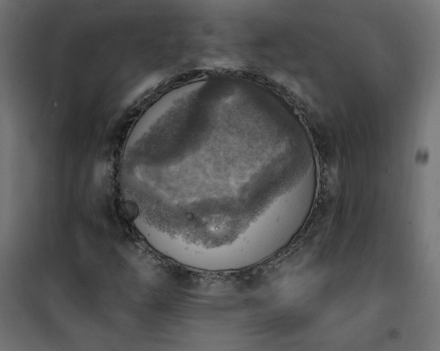 X0000101151254200807071141