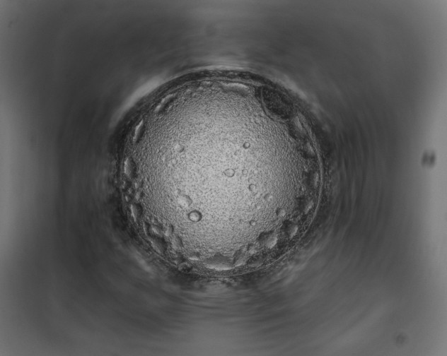 X0000101151255200807071141