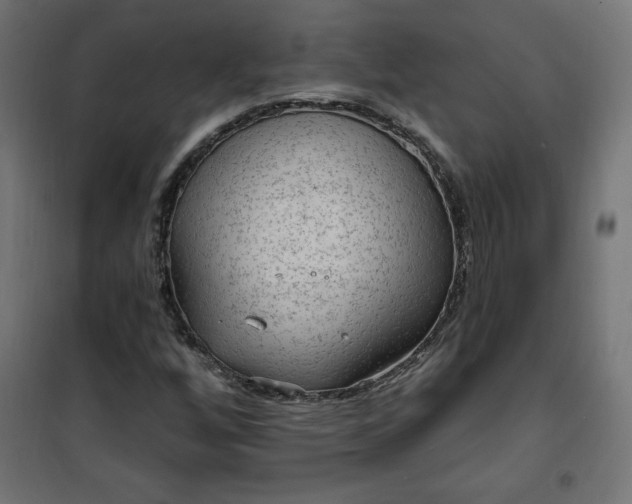 X0000101151256200807071141