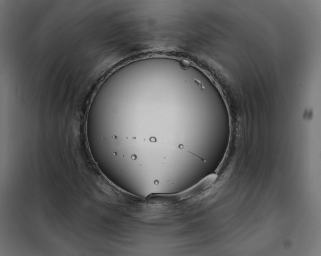 X0000101151257200807071141